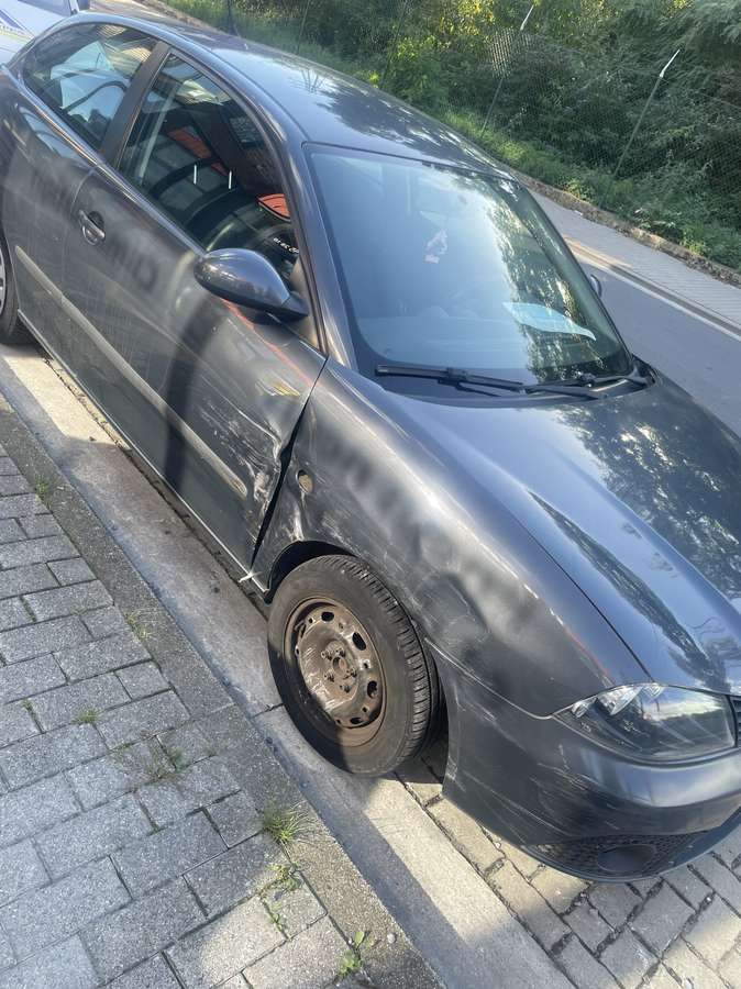 Seat Ibiza 2008