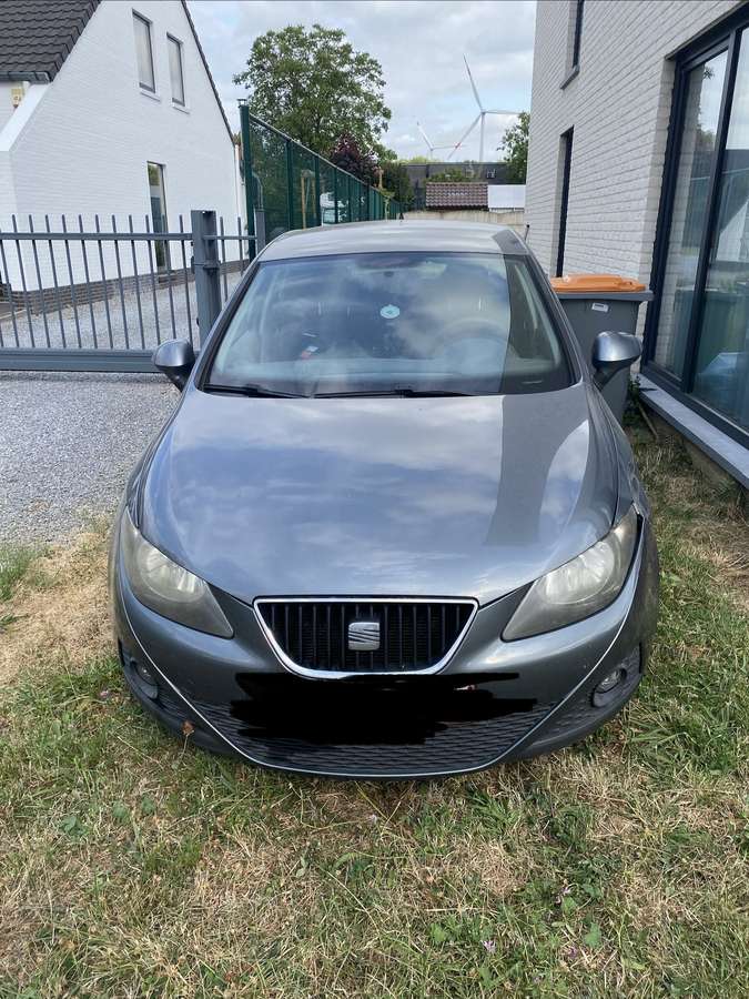 Seat Ibiza 2011