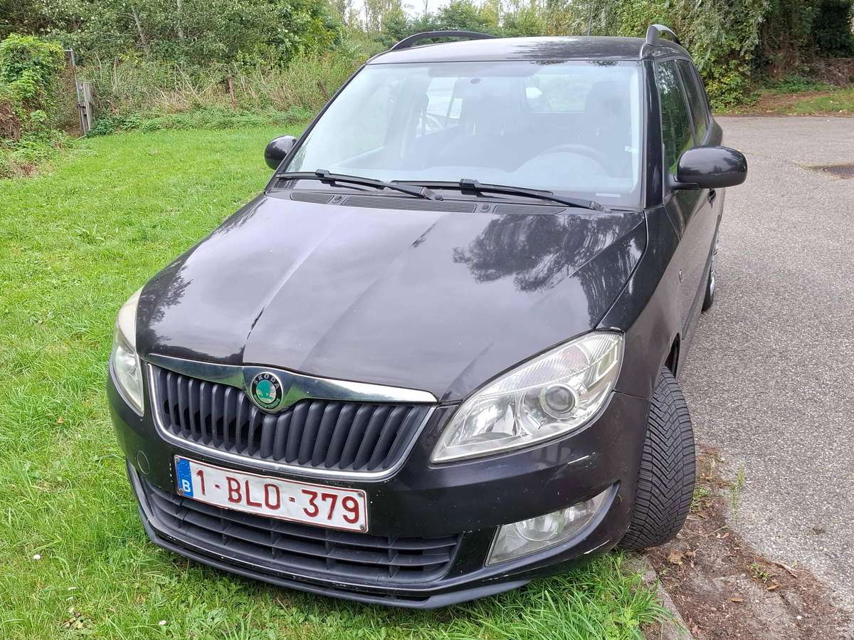 Skoda Fabia 2011